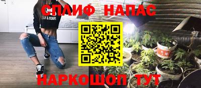 Альфа ПВП Будённовск