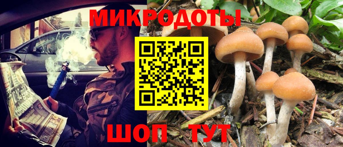 Псилоцибиновые грибы ЛСД  Галлюциногенные грибы Psilocybine cubensis  даркнет сайт  Шахты  Вход с VPN 