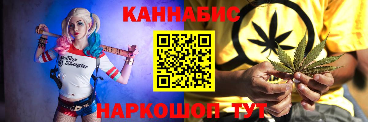 Конопля сатива Шахты